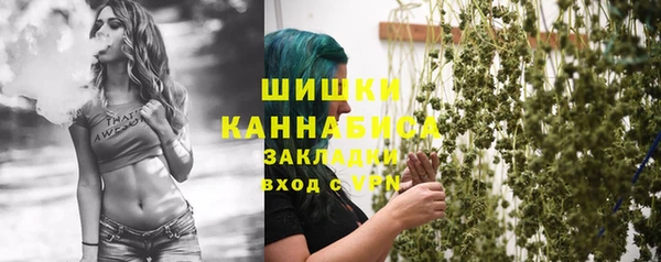 прущий лед Осташков